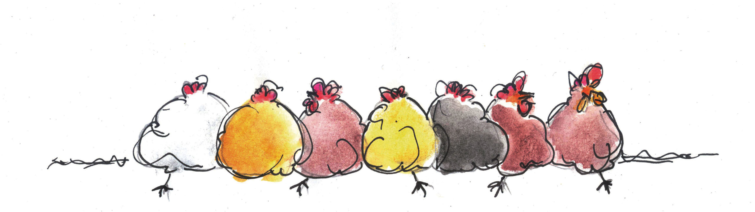 huehner_stangl Hühner Illustration